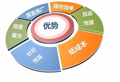網(wǎng)絡(luò)推廣編輯的職責(zé)與新手入門指南（2024年12月最新版）