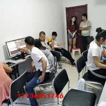 山東藍科云信息 深耕網絡信息技術推廣，賦能數字化轉型新篇章